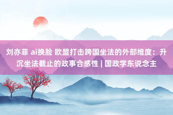 刘亦菲 ai换脸 欧盟打击跨国坐法的外部维度：升沉坐法截止的政事合感性 | 国政学东说念主
