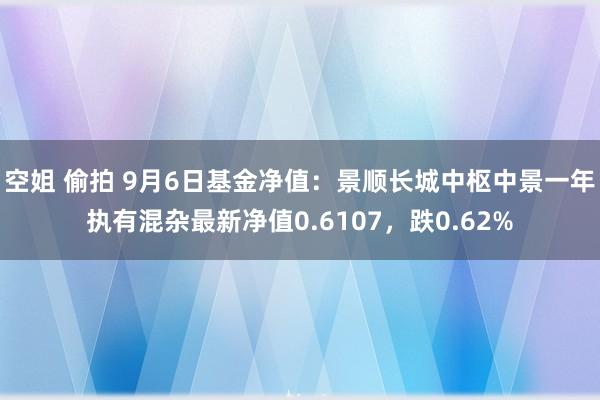 空姐 偷拍 9月6日基金净值：景顺长城中枢中景一年执有混杂最新净值0.6107，跌0.62%