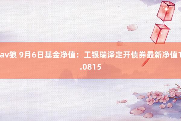 av狼 9月6日基金净值：工银瑞泽定开债券最新净值1.0815