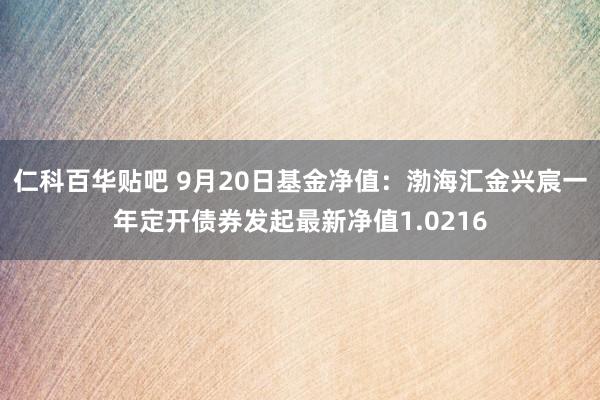 仁科百华贴吧 9月20日基金净值：渤海汇金兴宸一年定开债券发起最新净值1.0216