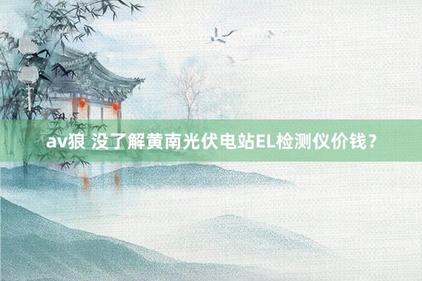 av狼 没了解黄南光伏电站EL检测仪价钱？
