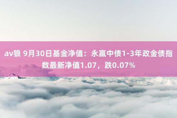 av狼 9月30日基金净值：永赢中债1-3年政金债指数最新净值1.07，跌0.07%