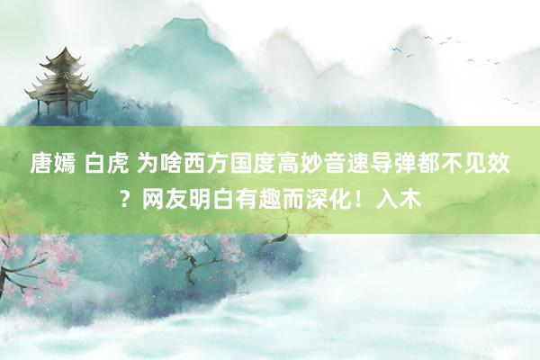 唐嫣 白虎 为啥西方国度高妙音速导弹都不见效？网友明白有趣而深化！入木