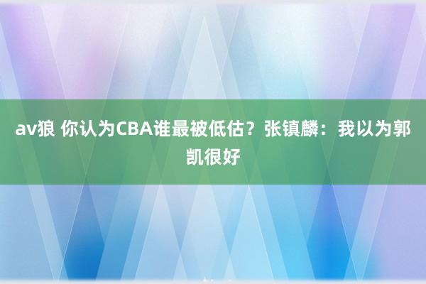 av狼 你认为CBA谁最被低估？张镇麟：我以为郭凯很好