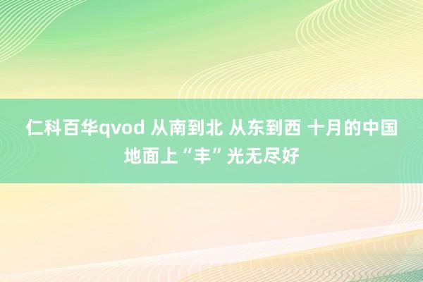仁科百华qvod 从南到北 从东到西 十月的中国地面上“丰”光无尽好
