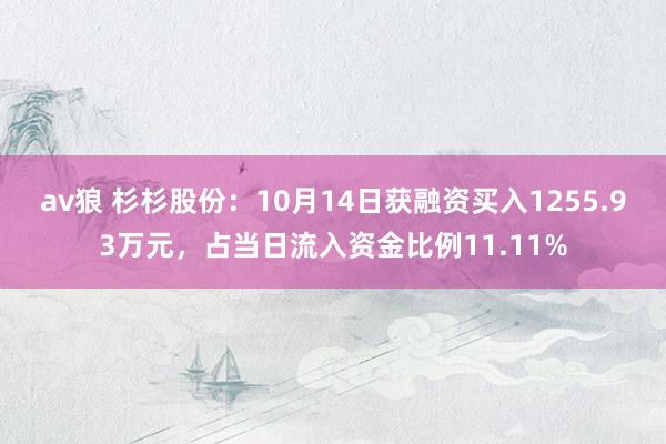 av狼 杉杉股份：10月14日获融资买入1255.93万元，占当日流入资金比例11.11%