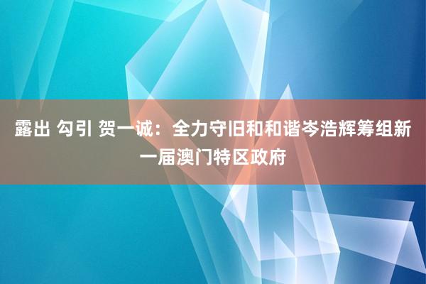 露出 勾引 贺一诚：全力守旧和和谐岑浩辉筹组新一届澳门特区政府