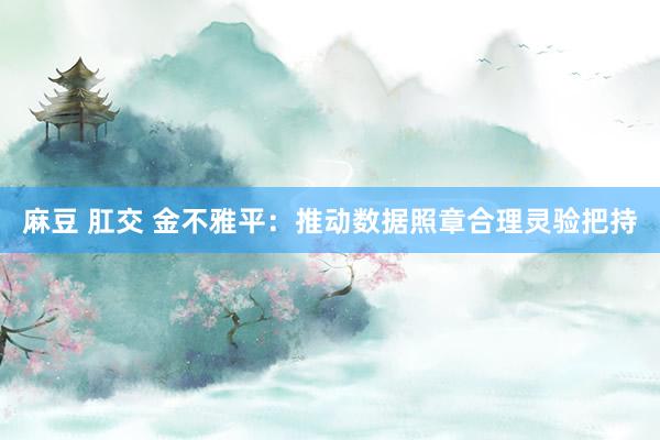 麻豆 肛交 金不雅平：推动数据照章合理灵验把持