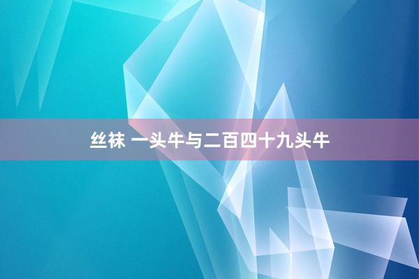 丝袜 一头牛与二百四十九头牛