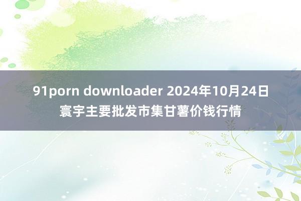 91porn downloader 2024年10月24日寰宇主要批发市集甘薯价钱行情