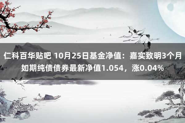 仁科百华贴吧 10月25日基金净值：嘉实致明3个月如期纯债债券最新净值1.054，涨0.04%