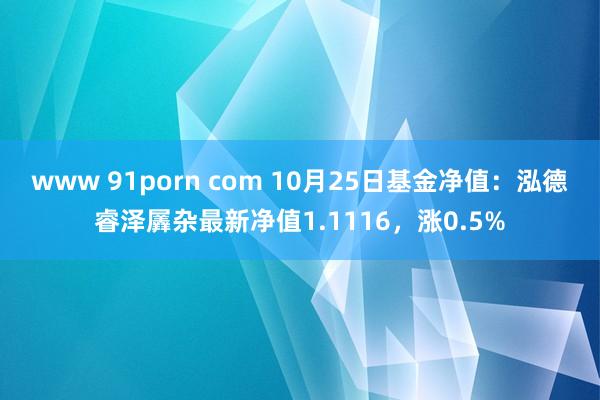 www 91porn com 10月25日基金净值：泓德睿泽羼杂最新净值1.1116，涨0.5%