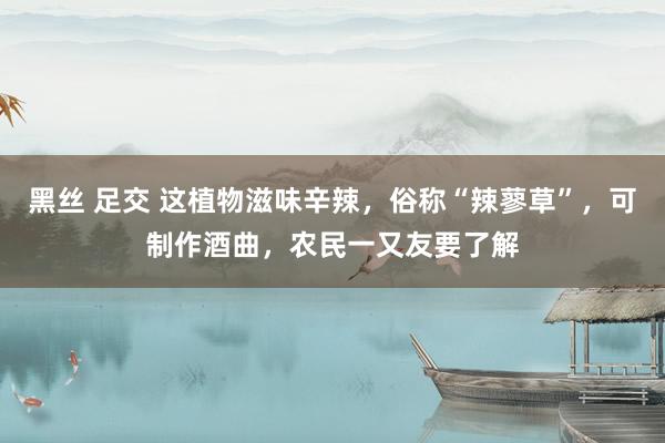 黑丝 足交 这植物滋味辛辣，俗称“辣蓼草”，可制作酒曲，农民一又友要了解