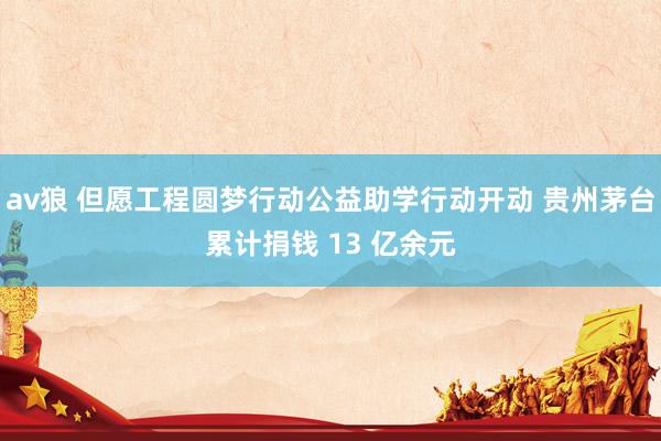 av狼 但愿工程圆梦行动公益助学行动开动 贵州茅台累计捐钱 13 亿余元