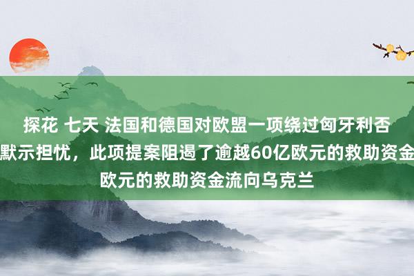 探花 七天 法国和德国对欧盟一项绕过匈牙利否决权的提案默示担忧，此项提案阻遏了逾越60亿欧元的救助资金流向乌克兰