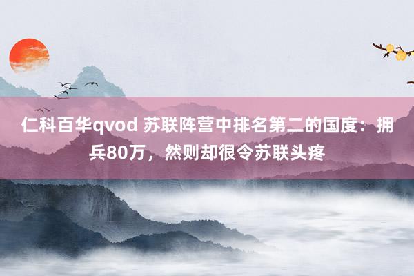 仁科百华qvod 苏联阵营中排名第二的国度：拥兵80万，然则却很令苏联头疼