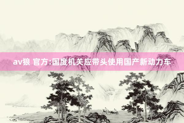 av狼 官方:国度机关应带头使用国产新动力车