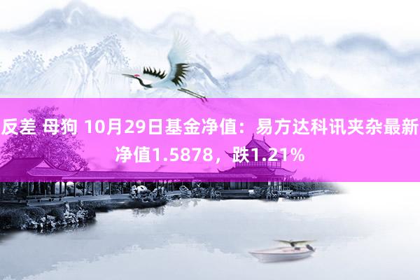 反差 母狗 10月29日基金净值：易方达科讯夹杂最新净值1.5878，跌1.21%