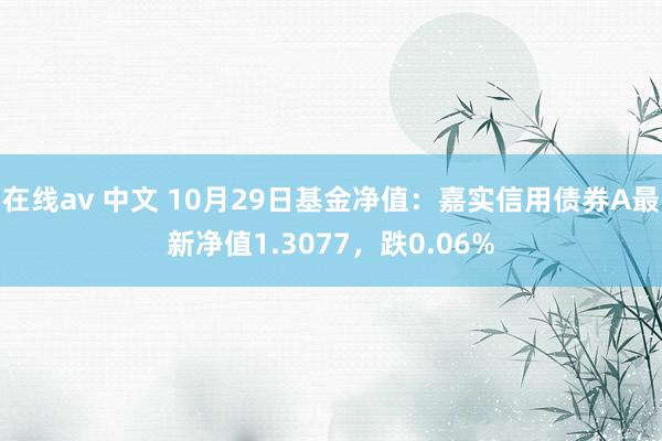 在线av 中文 10月29日基金净值：嘉实信用债券A最新净值1.3077，跌0.06%