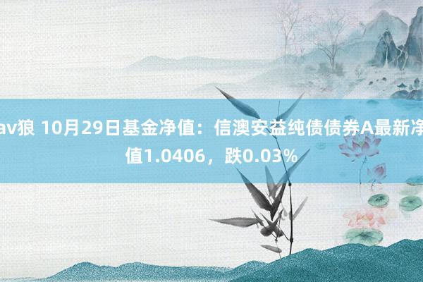 av狼 10月29日基金净值：信澳安益纯债债券A最新净值1.0406，跌0.03%