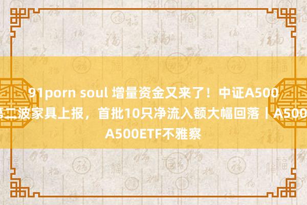 91porn soul 增量资金又来了！中证A500指数迎来第二波家具上报，首批10只净流入额大幅回落丨A500ETF不雅察