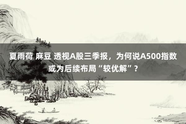夏雨荷 麻豆 透视A股三季报，为何说A500指数或为后续布局“较优解”？