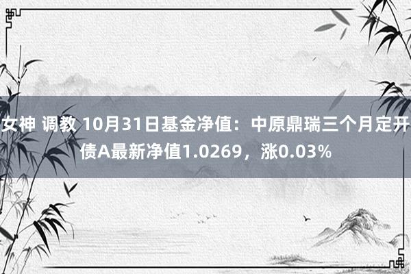 女神 调教 10月31日基金净值：中原鼎瑞三个月定开债A最新净值1.0269，涨0.03%