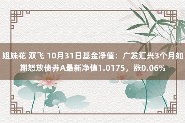 姐妹花 双飞 10月31日基金净值：广发汇兴3个月如期怒放债券A最新净值1.0175，涨0.06%
