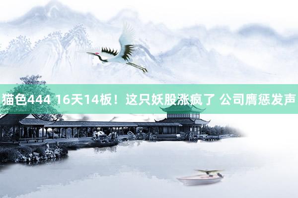 猫色444 16天14板！这只妖股涨疯了 公司膺惩发声