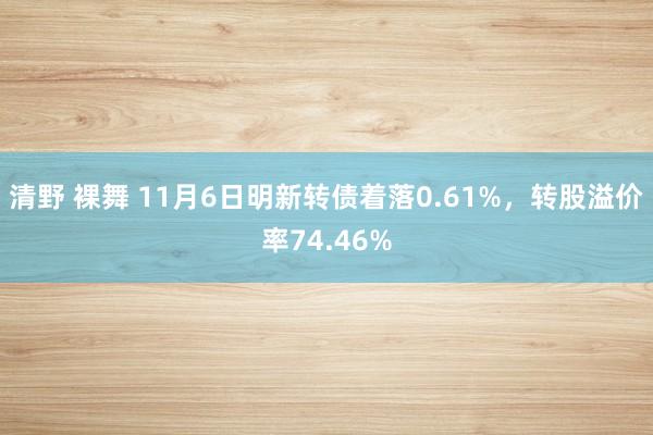 清野 裸舞 11月6日明新转债着落0.61%，转股溢价率74.46%