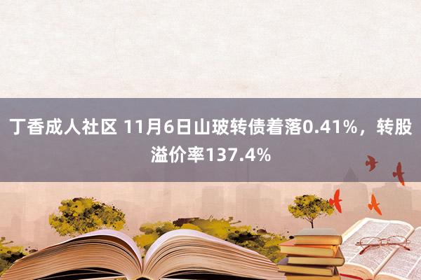 丁香成人社区 11月6日山玻转债着落0.41%，转股溢价率137.4%