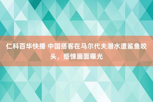 仁科百华快播 中国搭客在马尔代夫潜水遭鲨鱼咬头，蹙悚画面曝光