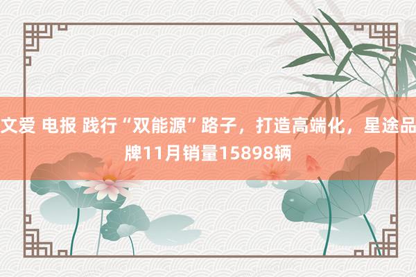 文爱 电报 践行“双能源”路子，打造高端化，星途品牌11月销量15898辆