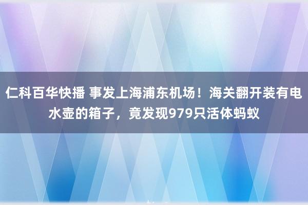 仁科百华快播 事发上海浦东机场！海关翻开装有电水壶的箱子，竟发现979只活体蚂蚁