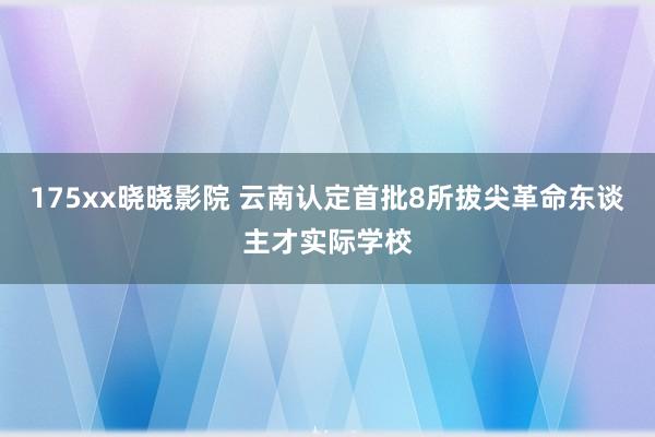 175xx晓晓影院 云南认定首批8所拔尖革命东谈主才实际学校