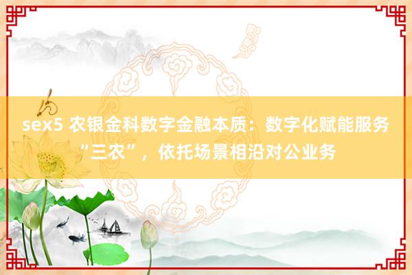 sex5 农银金科数字金融本质：数字化赋能服务“三农”，依托场景相沿对公业务
