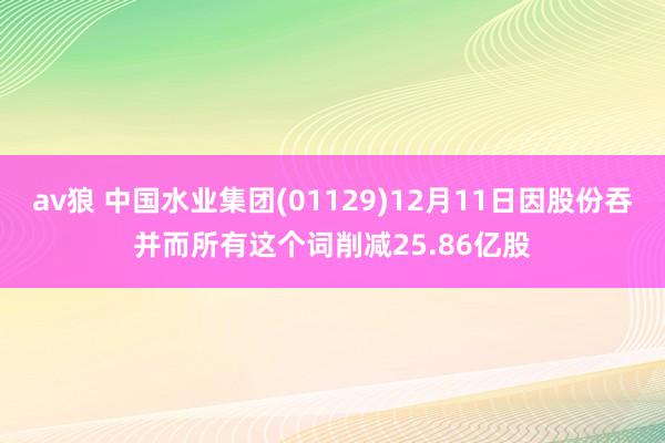 av狼 中国水业集团(01129)12月11日因股份吞并而所有这个词削减25.86亿股