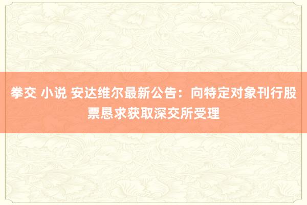 拳交 小说 安达维尔最新公告：向特定对象刊行股票恳求获取深交所受理