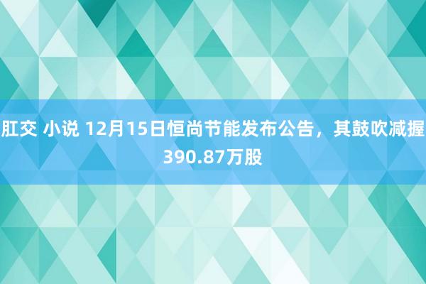 肛交 小说 12月15日恒尚节能发布公告，其鼓吹减握390.87万股