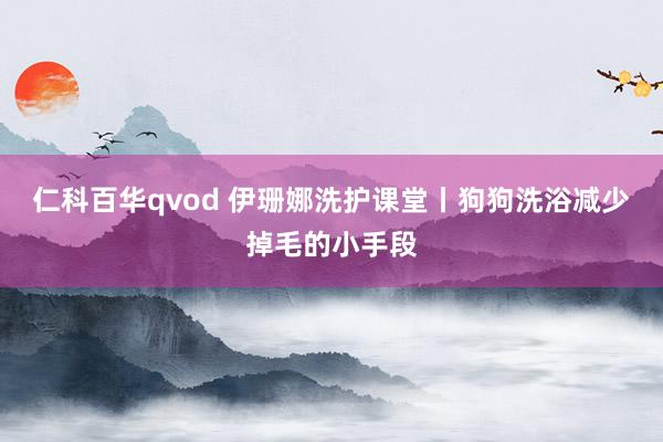 仁科百华qvod 伊珊娜洗护课堂丨狗狗洗浴减少掉毛的小手段