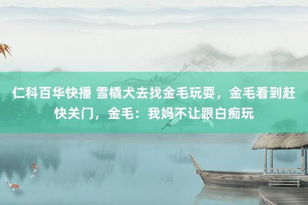 仁科百华快播 雪橇犬去找金毛玩耍，金毛看到赶快关门，金毛：我妈不让跟白痴玩