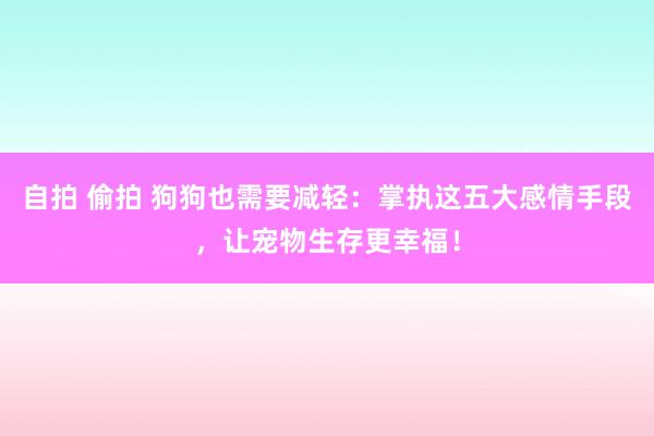 自拍 偷拍 狗狗也需要减轻：掌执这五大感情手段，让宠物生存更幸福！