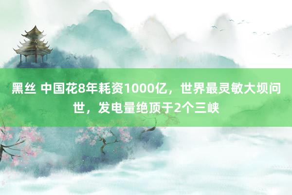 黑丝 中国花8年耗资1000亿，世界最灵敏大坝问世，发电量绝顶于2个三峡