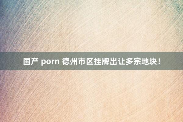 国产 porn 德州市区挂牌出让多宗地块！