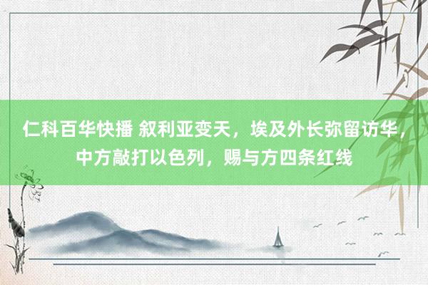 仁科百华快播 叙利亚变天，埃及外长弥留访华，中方敲打以色列，赐与方四条红线
