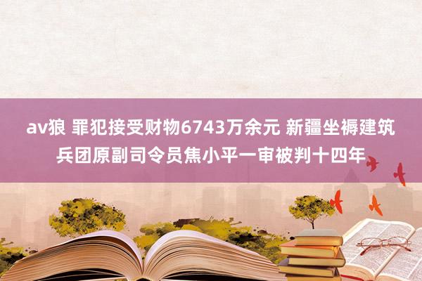 av狼 罪犯接受财物6743万余元 新疆坐褥建筑兵团原副司令员焦小平一审被判十四年