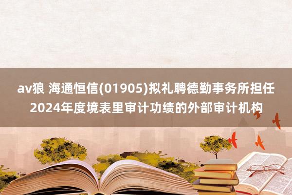 av狼 海通恒信(01905)拟礼聘德勤事务所担任2024年度境表里审计功绩的外部审计机构