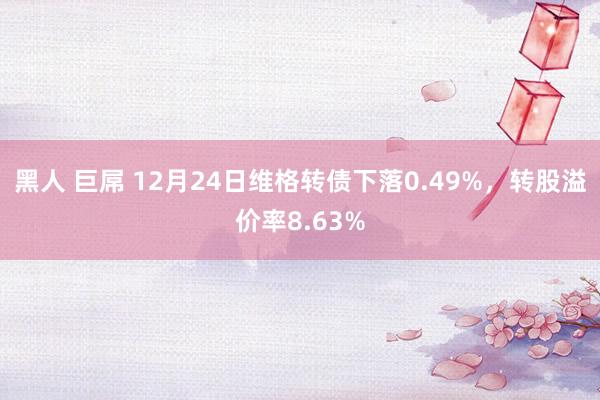 黑人 巨屌 12月24日维格转债下落0.49%，转股溢价率8.63%