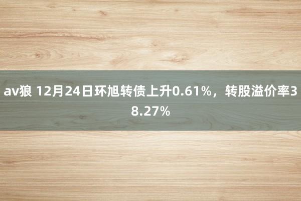 av狼 12月24日环旭转债上升0.61%，转股溢价率38.27%