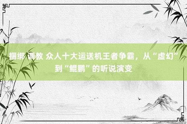 捆绑 调教 众人十大运送机王者争霸，从“虚幻”到“鲲鹏”的听说演变